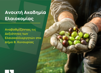 Ανοιχτή Ακαδημία Ελαιοκομίας: Η συνεργασία Επιμελητηρίου Αρκαδίας και Δήμου Βόρειας Κυνουρίας, προωθεί την επιμόρφωση στον πρωτογενή τομέα