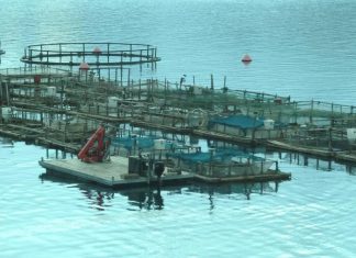 Ευκαιρίες και προκλήσεις για τους νέους στον πρωτογενή τομέα