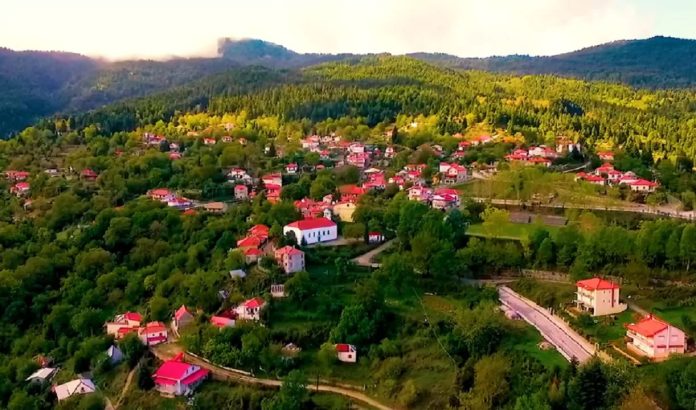 991.Domnitsa
