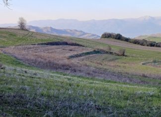 Έξι εκατ. στρέμματα εγκαταλελειμμένης γης στην Ελλάδα – Ποιος θα τα πάρει, η ενέργεια ή η παραγωγή τροφίμων;
