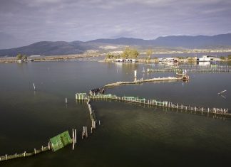 Ιχθυοκαλλιέργειες: Η καλύτερη χρονιά της τελευταίας 20ετίας – Στο +300% οι εξαγωγές προς Ισραήλ