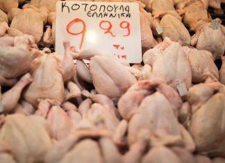 Γιατί το κοτόπουλο κερδίζει τη μάχη του κρέατος στην Ελλάδα – Σωρευτική ανάπτυξη 12% το 2024-5