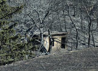 Στα 8,85 εκατ. ευρώ οι αποζημιώσεις των ασφαλιστικών για τις δασικές πυρκαγιές το καλοκαίρι του 2025
