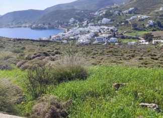 Οικογένεια Καλογρίτσα: Νέα “καταιγίδα” σφυριών για οικόπεδα στην Πάτμο