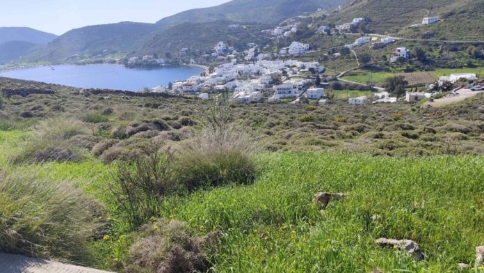 2.Kalogritsas