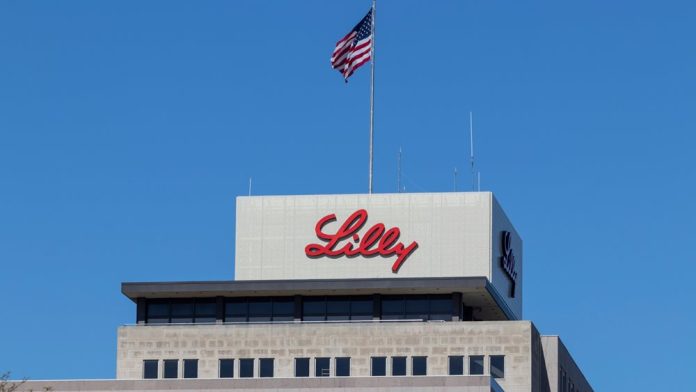 4.Lilly