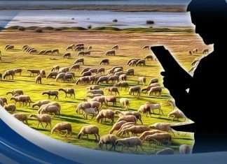 Νέο πλαίσιο για την κατανομή βοσκοτόπων – Οριστικό τέλος στην «τεχνική λύση», τι προβλέπει νέα ΚΥΑ
