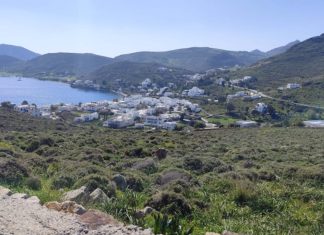 Πλειστηριασμοί: Οικογένεια Καλογρίτσα και ΕΛΦΙΚΟ ξανά στο “στόχαστρο”