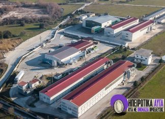 Ηπειρώτικα Αυγά: Νέα εταιρεία με αποκλειστική παραγωγή cage-free αυγών – Απορρόφηση της Ovo Fresco