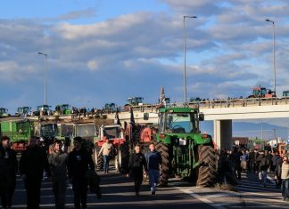 Κυβέρνηση: Στα σκαριά ενδιάμεση πληρωμή των επιδοτήσεων στους αγρότες