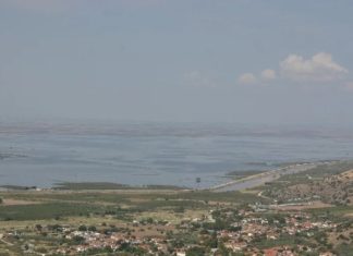 Σε λειτουργία η πλατφόρμα myBusinessSupport για στήριξη επιχειρήσεων από τον Daniel
