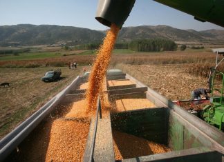 Εγκρίθηκε η Συμφωνία ΕΕ-Mercosur παρά τις αντιδράσεις -Τι προβλέπει