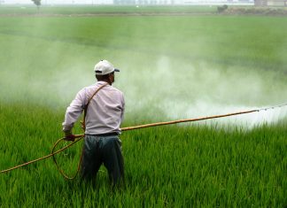 Mercosur και φυτοφάρμακα: Η συμφωνία που ανοίγει την πόρτα σε προϊόντα με διπλά στάνταρ