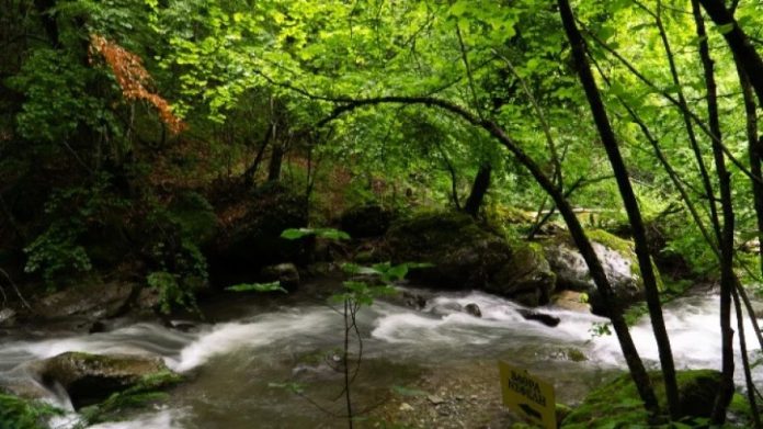 6.Anagennitikos_Tourismos
