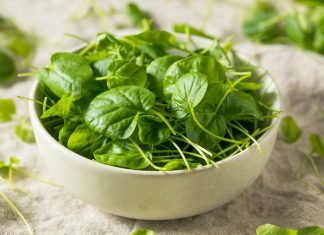 Ποιο είναι το πιο υποτιμημένο superfood που ξεπερνά σε θρεπτική αξία το μπρόκολο και το σπανάκι