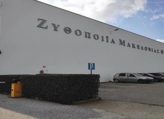 Ζυθοποιία Μακεδονίας Θράκης: «Το Ολλανδικό δικαστήριο είναι πλέον πολύ κοντά στο να επιδικάσει υπέρ μας τουλάχιστον 83 εκατ. ευρώ»