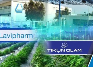 Lavipharm: Ισχυρή αύξηση EBITDA κατά 48,9%, στα 15,47 εκατ. ευρώ