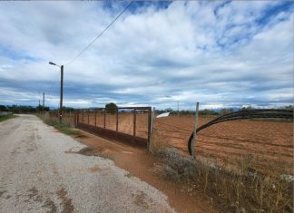 Πλειστηριασμοί: Σε νέο σφυρί και με… σκόντο η έκταση 100 στρεμμάτων του «Έλληνα Εσκομπάρ»