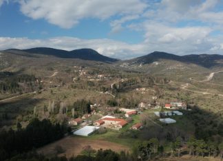 Πρώην βασιλικό κτήμα Τατοΐου: Tα πέντε επενδυτικά σχήματα που εκδήλωσαν ενδιαφέρον στον διαγωνισμό