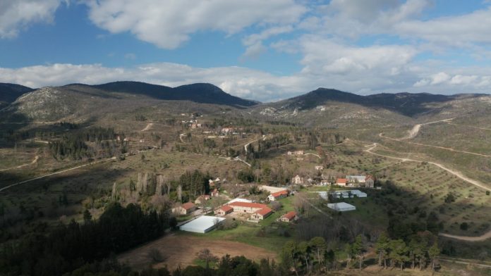 95.Tatoi