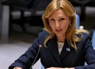 Μελίνα Τραυλού: Το Net-Zero Framework δεν αποτελεί βιώσιμη λύση – Οι ελληνικές θέσεις για τη ναυτιλία