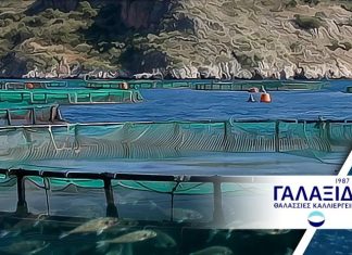 Γαλαξίδι Θαλάσσιες Καλλιέργειες: «Πλεύση» σε ιστορικά υψηλά με πωλήσεις 110 εκατ. ευρώ και ενίσχυση κερδοφορίας