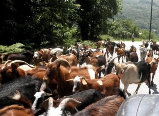 Νέοι κανόνες για τα τρόφιμα