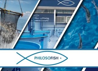 Philosofish: Επιστροφή στην κερδοφορία