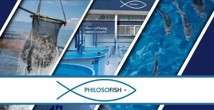 3.Philosofish