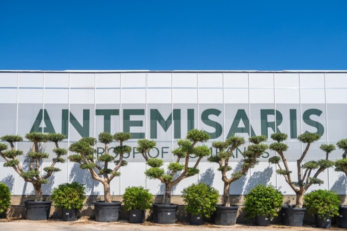 4.Antemisaris
