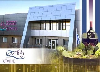 Ποτοποιία-Οινοποιία Θράκης: Νέες συμφωνίες από τη Γερμανία έως τη Σκανδιναβία