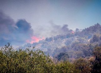 Ποια είναι η εταιρεία που έχει το αιολικό πάρκο πίσω από τη φονική πυρκαγιά στη Βοιωτία