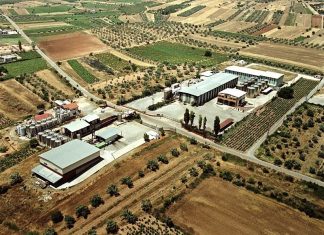 «Ευβοϊκή Οινοποιητική»: Απειλούνται με πλειστηριασμό οι εγκαταστάσεις της