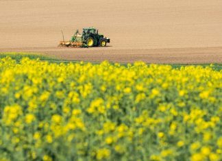 Αγρότες: Κληρονομιές, μισθωτήρια, ΑΤΑΚ και ΚΑΕΚ – Οι απαντήσεις της ΑΑΔΕ σε 30 ερωτήματα