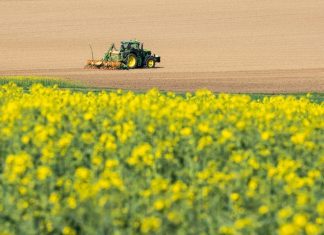Αγρότες: Μηδενικός φόρος έως 20.000 ευρώ – Ποιοι δικαιούνται τη νέα φορολογική ελάφρυνση