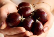 Οι αγορές του εξωτερικού εκτιμούν το ελληνικό κάστανο